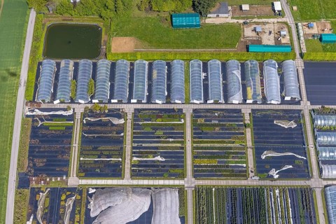 Aerial view, container nursery and perennials Kunz, Leubeck, Heiligenhaus, Ruhr area, North