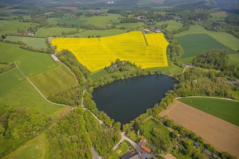 Aerial view, rape fields, Abtskücher pond, Hetterscheidt, Heiligenhaus, Ruhr area, North