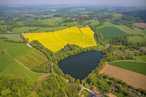 Aerial view, rape fields, Abtskücher pond, Hetterscheidt, Heiligenhaus, Ruhr area, North