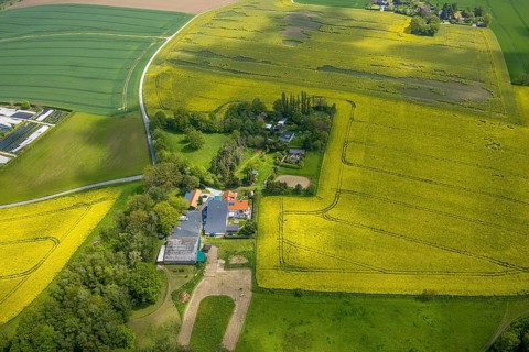 Aerial view, rape fields, agricultural estate Herbeckweg, Leubeck, Heiligenhaus, Ruhr area, North