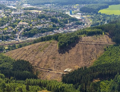 Aerial view, forest area with forest damage at Habbecker Berg, Frielentrop, Finnentrop, Sauerland,