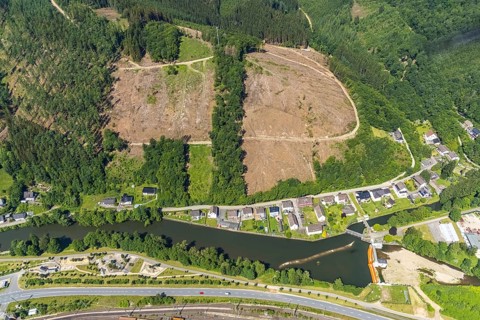 Aerial view, forest area and forest damage on Lennestraße at the historic Lennewehr, Finnentrop,