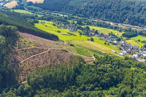 Aerial view, forest area with forest damage, Rönkhausen, Finnentrop, Sauerland, North