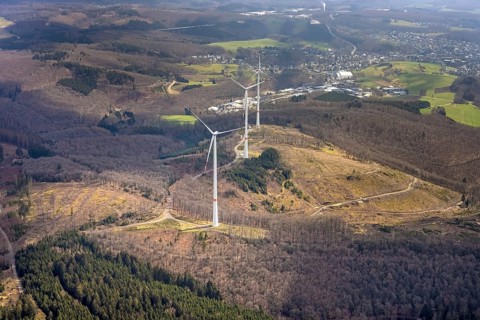 Forest damage and wind turbines Büschergrund, Freudenberg, Sauerland, North Rhine-Westphalia,