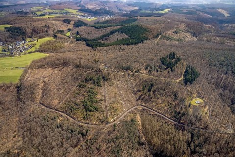 Radio mast in forest area with forest damage, Freudenberg, Sauerland, North Rhine-Westphalia,