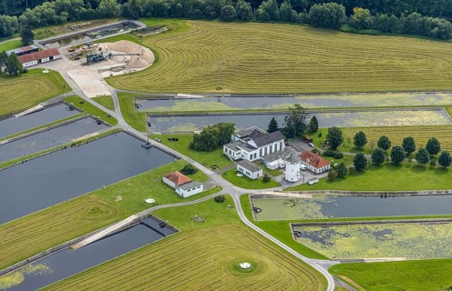 Aerial view, Hammer Waterworks Warmen at the Merschstraße in the district Warmen, Fröndenberg/Ruhr,
