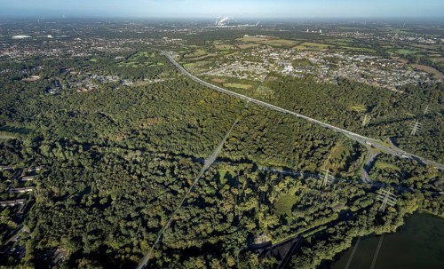 Aerial view, Resser Mark city forest with Münsterstrasse in the Resser Mark district of