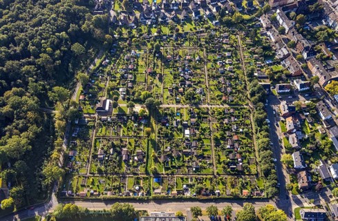 Aerial view, allotment garden association Buer-Erle in the district Erle in Gelsenkirchen, Ruhr