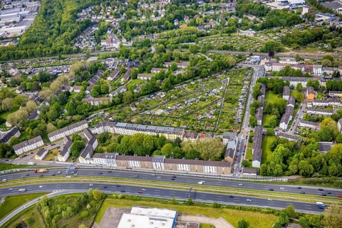 Aerial view, allotment garden association Essen-Kray, residential buildings at the motorway A40,