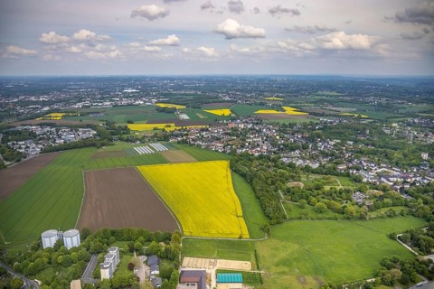 Aerial view, rape fields, Essen-Freisenbruch, Essen, Ruhr area, North Rhine-Westphalia, Germany,