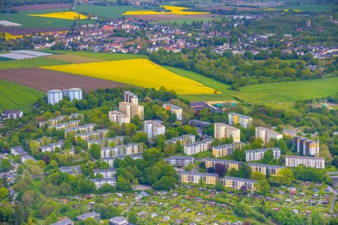 Aerial view, rape fields, Essen-Freisenbruch, Essen, Ruhr area, North Rhine-Westphalia, Germany,