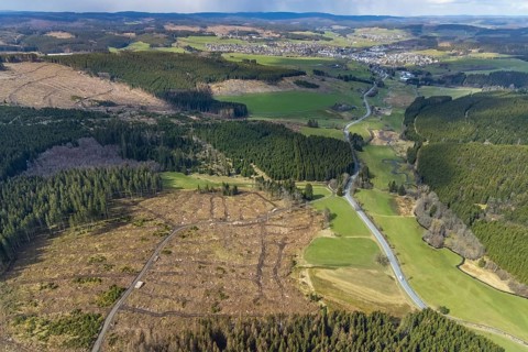 Aerial photo, forest damage in the forest area Berg Ebschloh, Erndtebrück, Siegerland, North