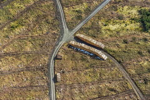 Aerial view, forest damage in the forest area Berg Ebschloh, Erndtebrück, Siegerland, North