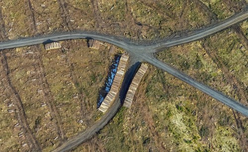 Aerial view, forest damage in the forest area Berg Ebschloh, Erndtebrück, Siegerland, North