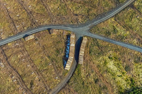 Aerial view, forest damage in the forest area Berg Ebschloh, Erndtebrück, Siegerland, North