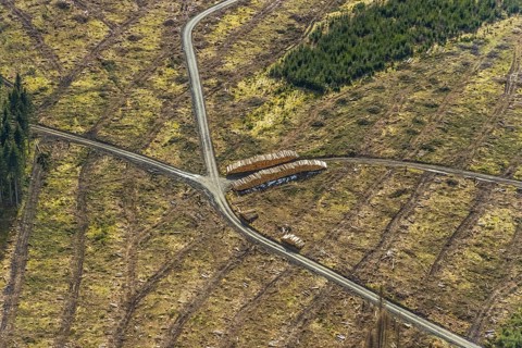 Aerial view, forest damage in the forest area Berg Ebschloh, Erndtebrück, Siegerland, North