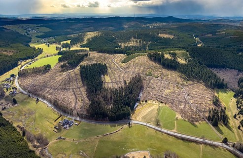 Aerial photo, forest damage in the forest area Berg Ebschloh, Erndtebrück, Siegerland, North