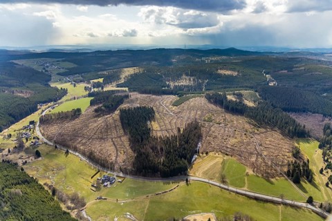Aerial photo, forest damage in the forest area Berg Ebschloh, Erndtebrück, Siegerland, North