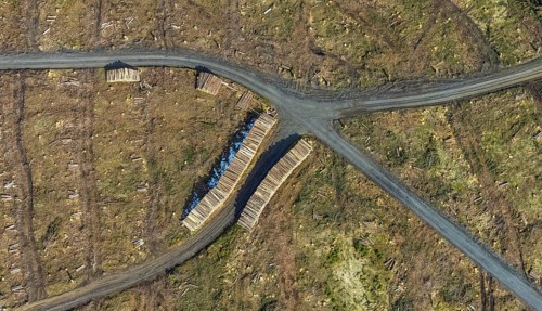 Aerial view, forest damage in the forest area Berg Ebschloh, Erndtebrück, Siegerland, North