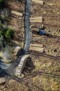 Aerial photo, forest damage in the forest area Berg Ebschloh, timber transport, Erndtebrück,