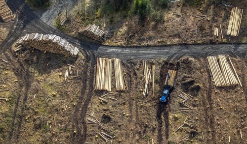 Aerial photo, forest damage in the forest area Berg Ebschloh, timber transport, Erndtebrück,