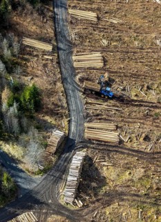Aerial photo, forest damage in the forest area Berg Ebschloh, timber transport, Erndtebrück,