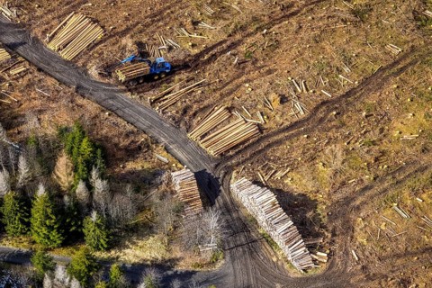 Aerial photo, forest damage in the forest area Berg Ebschloh, timber transport, Erndtebrück,
