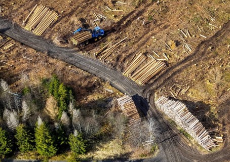 Aerial photo, forest damage in the forest area Berg Ebschloh, timber transport, Erndtebrück,