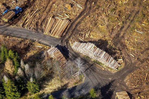Aerial photo, forest damage in the forest area Berg Ebschloh, timber transport, Erndtebrück,