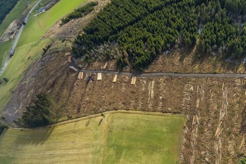 Aerial view, forest damage in the forest area Berg Ebschloh, Erndtebrück, Siegerland, North
