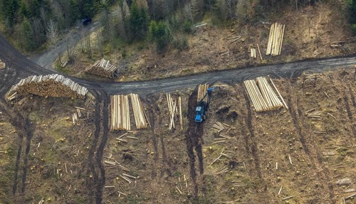 Aerial photo, forest damage in the forest area Berg Ebschloh, timber transport, Erndtebrück,