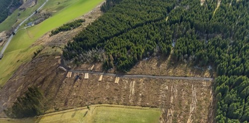 Aerial view, forest damage in the forest area Berg Ebschloh, Erndtebrück, Siegerland, North