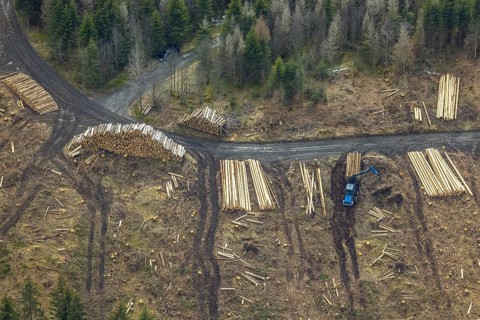 Aerial photo, forest damage in the forest area Berg Ebschloh, timber transport, Erndtebrück,