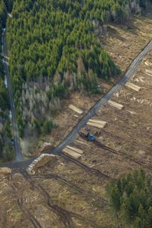 Aerial photo, forest damage in the forest area Berg Ebschloh, Erndtebrück, Siegerland, North