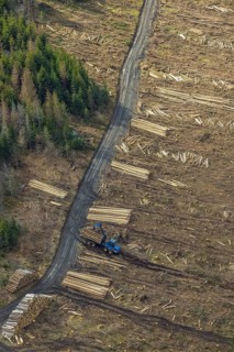 Aerial view, forest damage in the forest area Berg Ebschloh, Erndtebrück, Siegerland, North