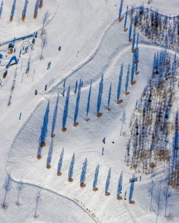 Aerial view, shadow play in snow-covered Krupp Park, Westviertel, Essen, Ruhr area, North