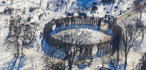 Aerial view, tree circle in Grugapark, Essen-Holsterhausen, Essen, Ruhr area, North