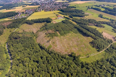 Aerial view, forest area Fürstenberg and Höinger Heide with forest damage, sports field Höingen,
