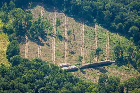 Aerial view, Fürstenberg Füchtener Heide forest area with forest damage in Lüttringen, Ense,