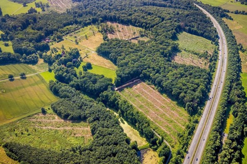 Aerial photo, Fürstenberg Füchtener Heide forest area with forest damage in Hünningen, Ense,
