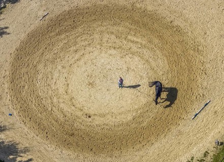 Aerial view, horse training at the Wolfshövel riding centre in the Königsfeld district of