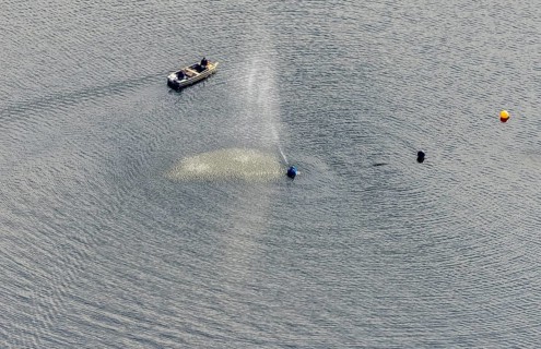 Aerial view, Ennepetalsperre and boat with water fountain in the district Altenbreckerfeld in