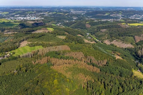 Aerial photograph, forest damage and forest dieback in the district of Rüggeberg in Ennepetal, Ruhr