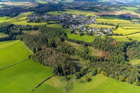 Aerial view, forest damage in the Rüggeberg district in Ennepetal, Ruhr area, North
