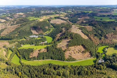 Aerial view, forest damage in the Rüggeberg district in Ennepetal, Ruhr area, North