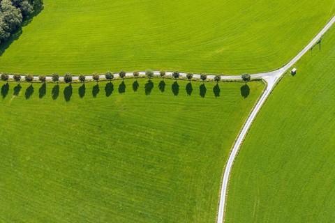 Aerial view, tree avenue Mittelhesterberg in the district Rüggeberg in Ennepetal, Ruhr area, North