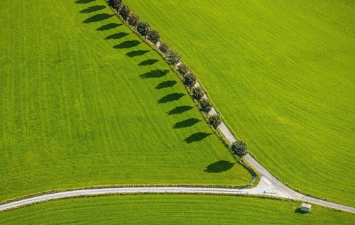 Aerial view, tree avenue Mittelhesterberg in the district Rüggeberg in Ennepetal, Ruhr area, North
