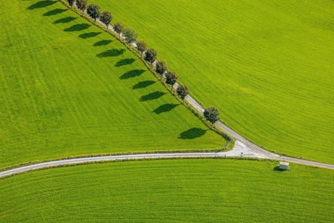 Aerial view, tree avenue Mittelhesterberg in the district Rüggeberg in Ennepetal, Ruhr area, North