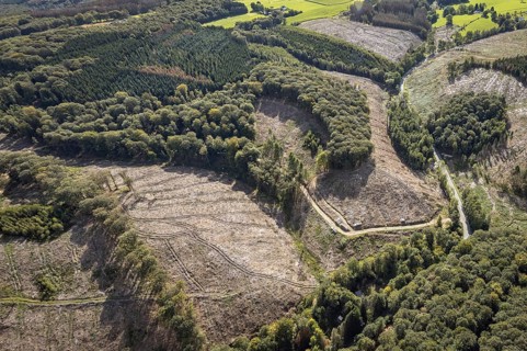 Aerial photo, forest damage in the Windgarten district of Ennepetal, Ruhr area, North