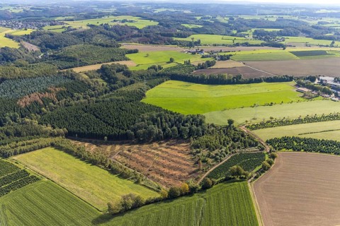 Aerial view, forest damage in the district Königsfeld in Ennepetal, Ruhr area, North